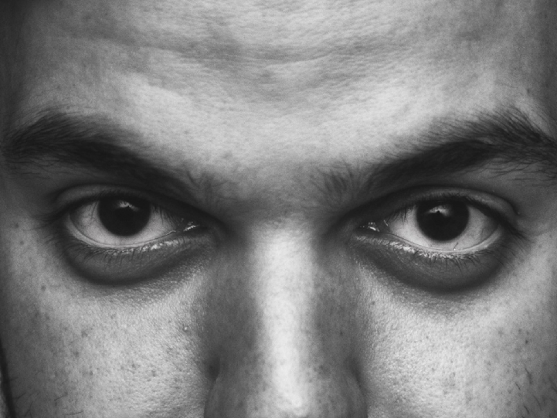 2021_SchautHin_WLH_PixabayCanva (4)