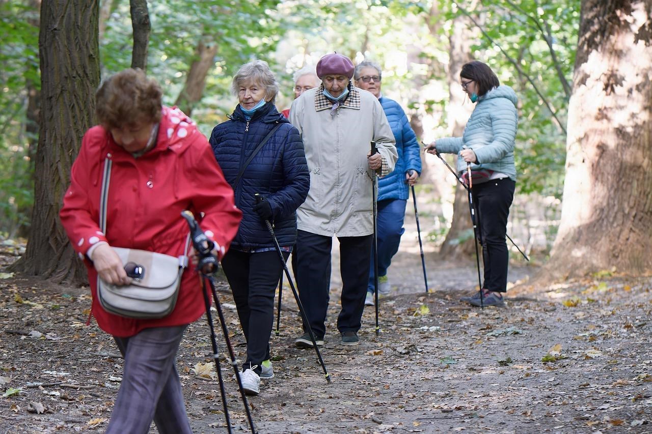 Eine Gruppe Seniorinnen und Senioren sind gemeinsam auf einem Parkweg unterwegs. 