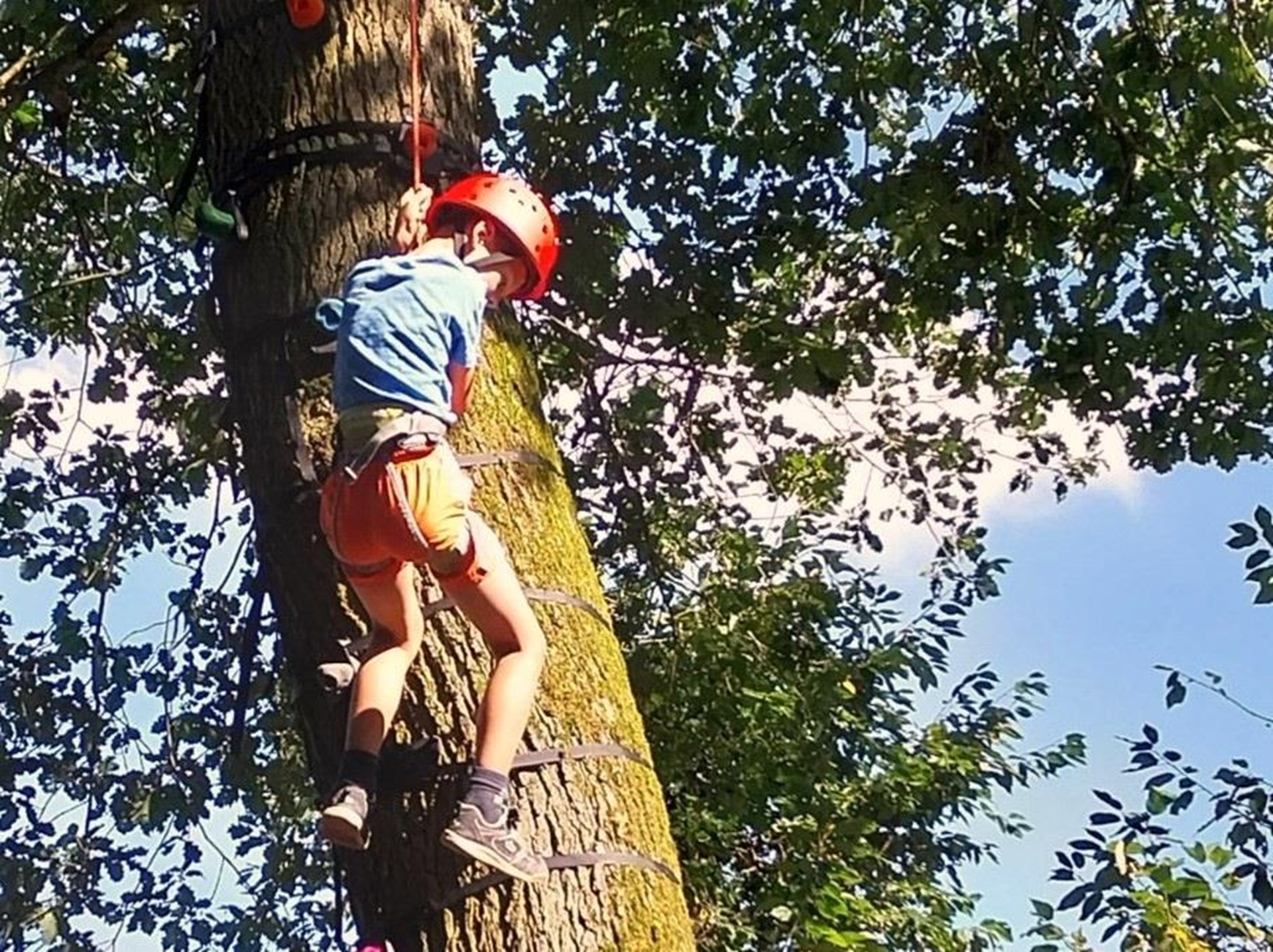 Kind klettert auf Baum