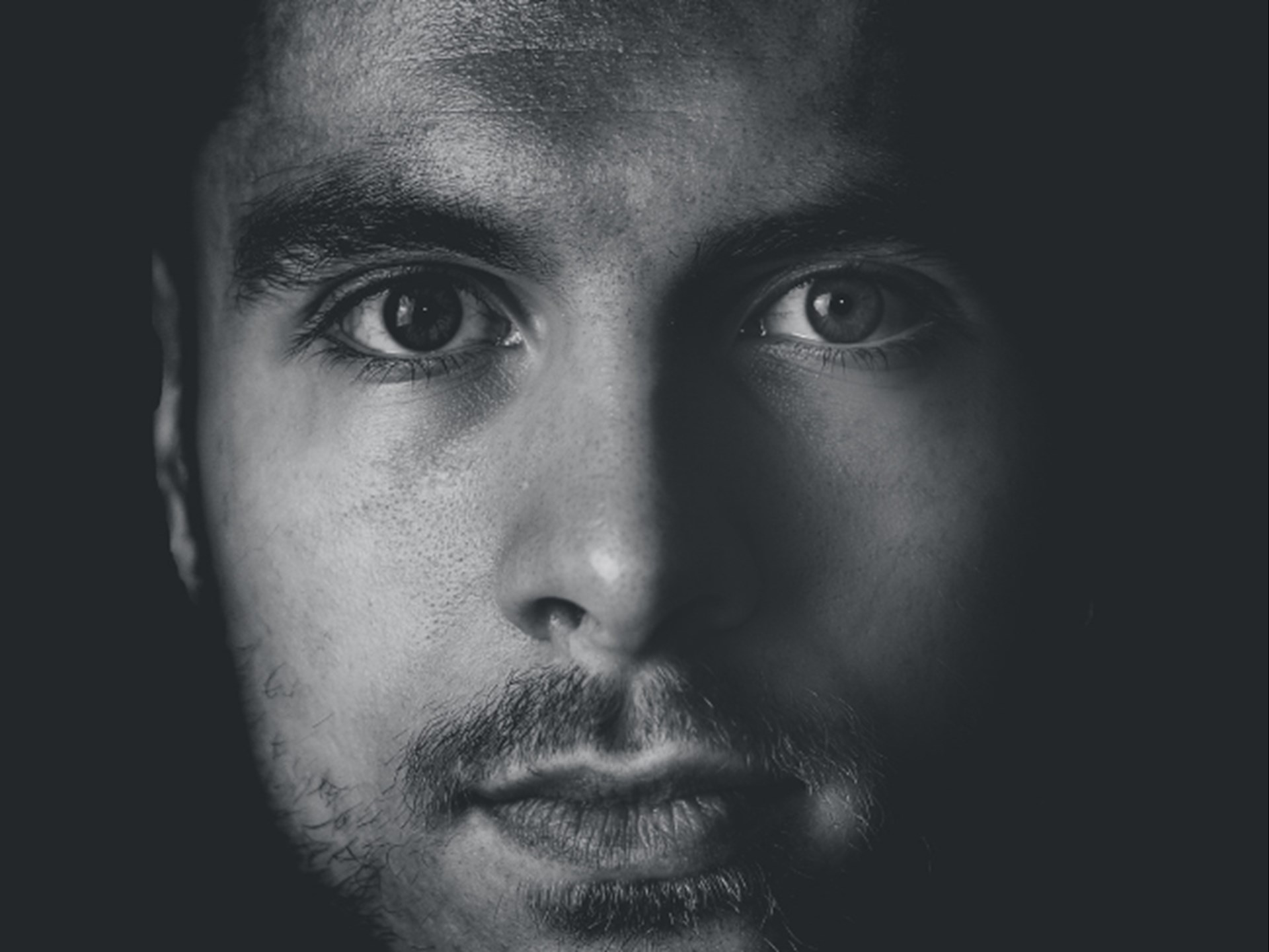 2021_SchautHin_WLH_PixabayCanva (2)