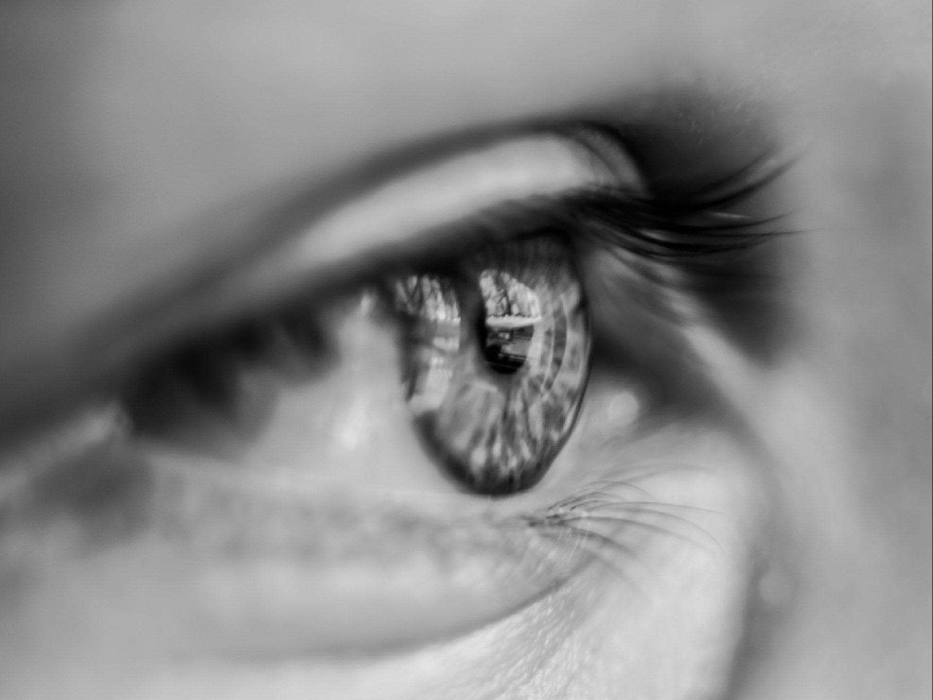 2021_SchautHin_WLH_PixabayCanva (6)